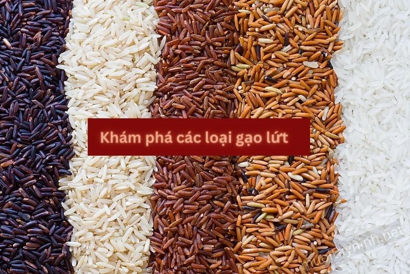 Các loại gạo lứt